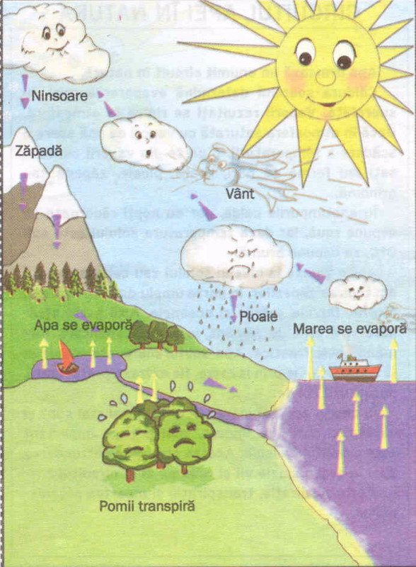 Care Sunt Factorii Geoecologici I Cum Influen Eaz Ace Tia Mediul