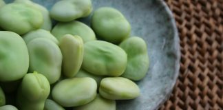 Bobul (Vicia faba) – descoperă ce valori nutritive și terapeutice are bobul