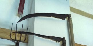 Ce ne-am fi făcut fără coasă? Află istoria din spatele acestei invenții