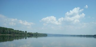 Acestea sunt cele mai impresionante poduri peste Dunăre