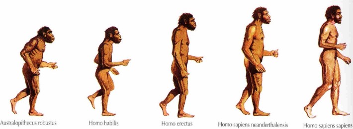 Cercetarea preistorica a omului
