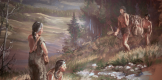 Generalitati despre evolutia omului preistoric oameni preistorici