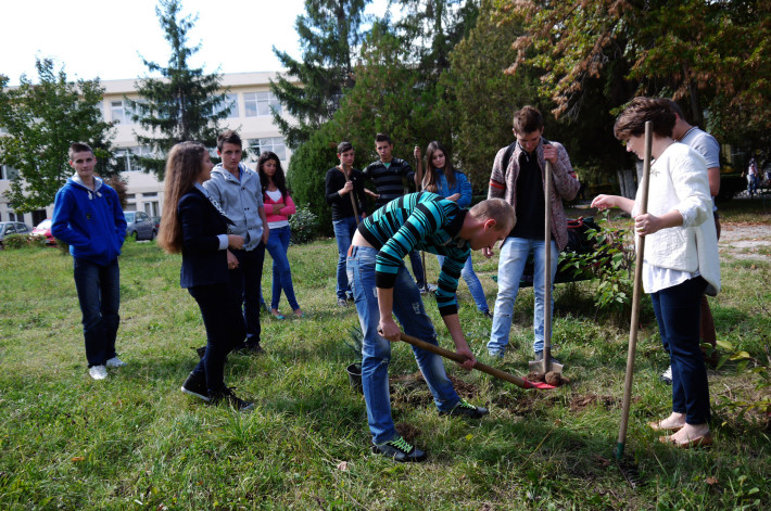 Activitatile Extrascolare Si Dezvoltarea Copiilor Nostri - Deștepți.ro