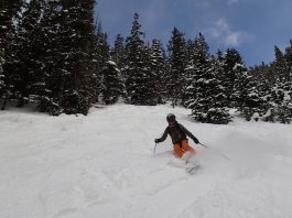 Cele mai placute activitati de iarna