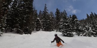 Cele mai placute activitati de iarna