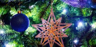 In asteptarea sarbatorilor de iarna