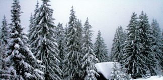 Plugusorul, unul dintre cele mai vechi traditii romanesti