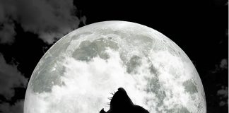 Andrei de iarna – Sarbatoarea Sfantului Andrei