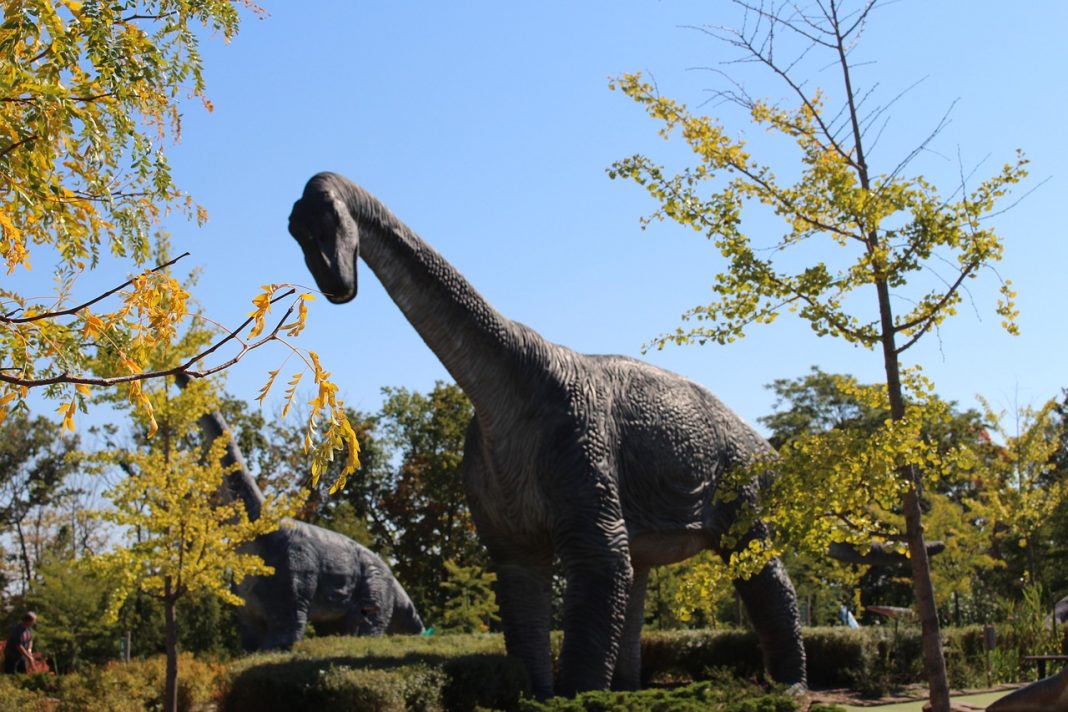 Ce sunt dinozaurii și cum au apărut aceștia Ce sunt dinozaurii și cum au apărut aceștia
