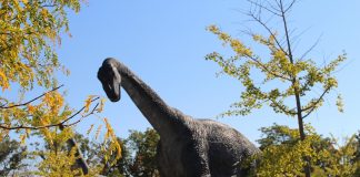 Dinozaurii: ce sunt și cum au apărut aceste creaturi fascinante Ce sunt dinozaurii și cum au apărut aceștia