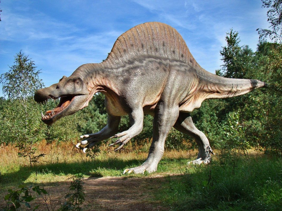 Corpul si înfățișarea dinozaurilor, află toate detaliile Corpul si înfățișarea dinozaurilor, află toate detaliile