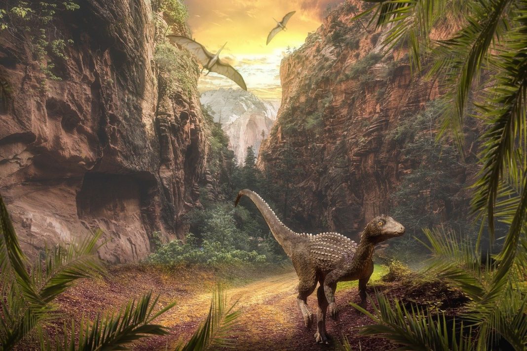 Cât de inteligenți erau dinozaurii Află aici mai multe Cât de inteligenți erau dinozaurii Află aici mai multe