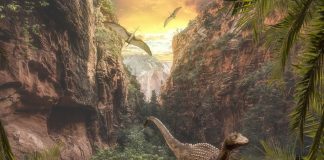 Cât de inteligenți erau dinozaurii? află detalii surprinzătoare Cât de inteligenți erau dinozaurii Află aici mai multe
