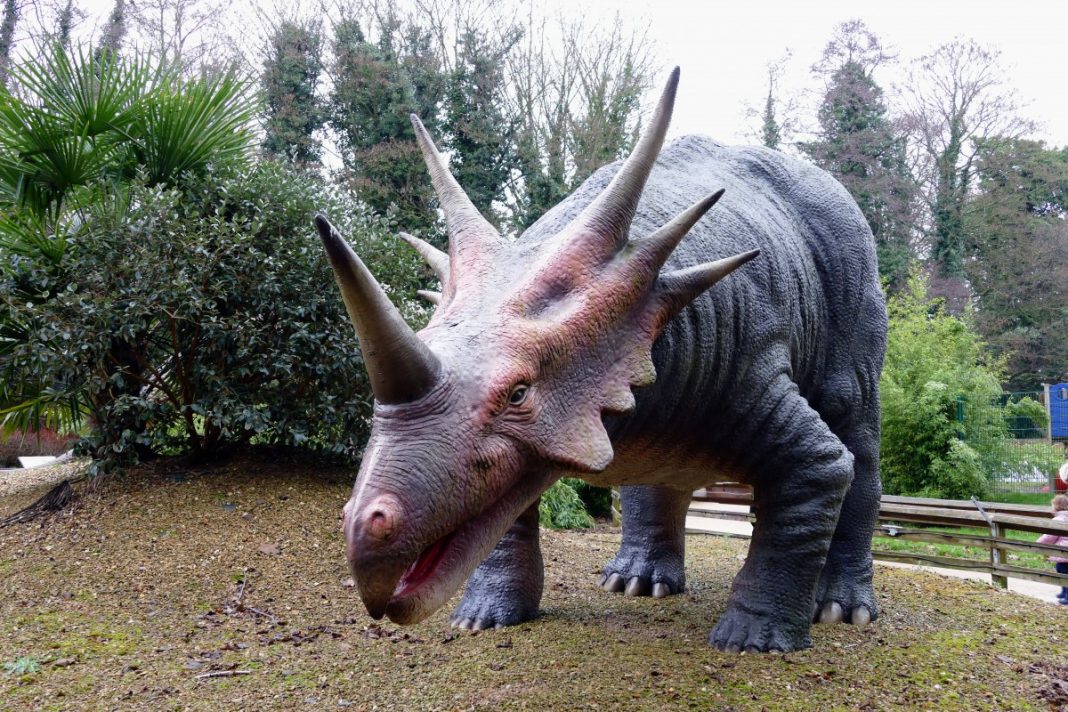 Dinozaurii, animale cu sânge rece sau cu sânge cald Dinozaurii, animale cu sânge rece sau cu sânge cald