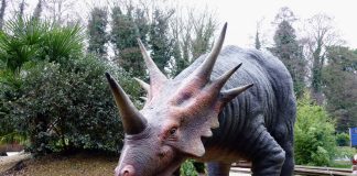 Dinozaurii: animale cu sânge rece sau sânge cald? Dinozaurii, animale cu sânge rece sau cu sânge cald