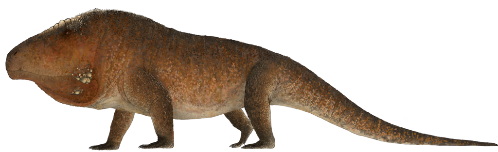 Erythrosuchus