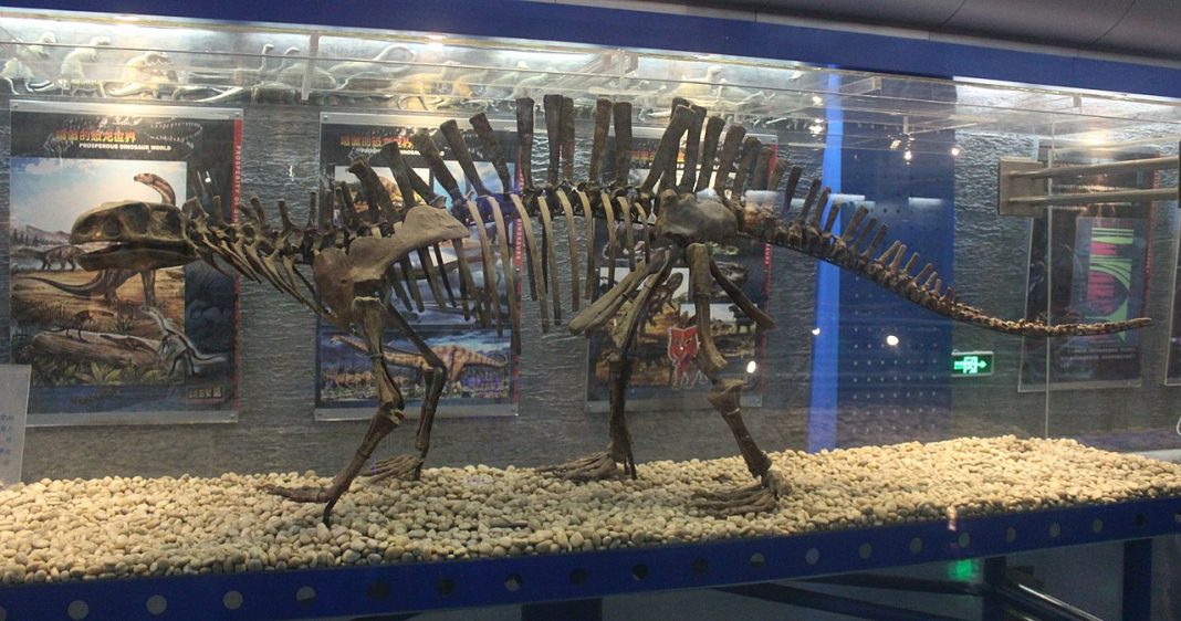 Lotosaurus, o reptilă erbivoră dinaintea dinozaurilor Lotosaurus, o reptilă erbivoră dinaintea dinozaurilor