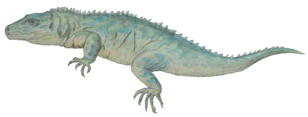 Planocephalosaurus, Foto: vmnhpaleontology.wordpress.com