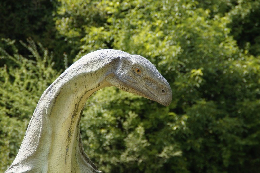 Prezentare a Pământului în era dinozaurilor Prezentare a Pământului în era dinozaurilor