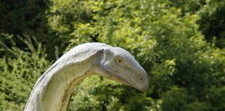 Pământul în era dinozaurilor: transformări climatice și geologice Prezentare a Pământului în era dinozaurilor