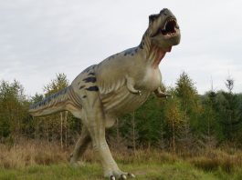 Sistemul respirator al dinozaurilor, precum cel al păsărilor