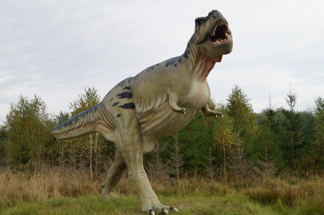 Sistemul respirator al dinozaurilor, precum cel al păsărilor Sistemul respirator al dinozaurilor, precum cel al păsărilor