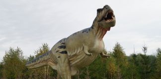 Sistemul respirator al dinozaurilor: o asemănare fascinantă cu cel al păsărilor Sistemul respirator al dinozaurilor, precum cel al păsărilor