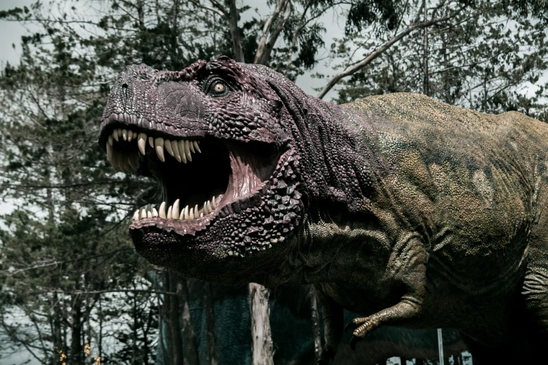 Transformarea dinozaurilor în fosile, vezi cum s-a întâmplat totul Transformarea dinozaurilor în fosile, vezi cum s-a întâmplat totul