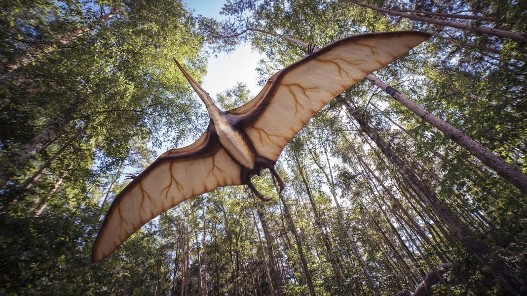 Vederea si producerea sunetelor la dinozauri Vederea si producerea sunetelor la dinozauri