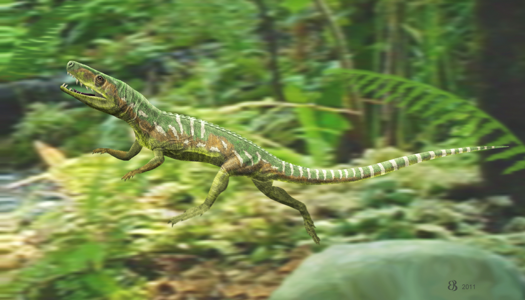 Vezi ce fel de reptilă era Euparkeria Vezi ce fel de reptilă era Euparkeria