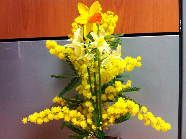 Buchet de mimoze si narcise oferite in Italia de 8 martie, Foto: cinquecentoproject.wordpress.com