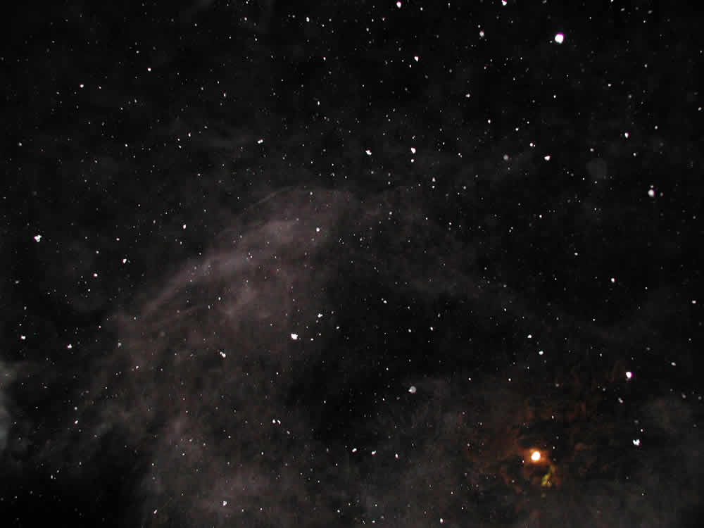 Cosmosul