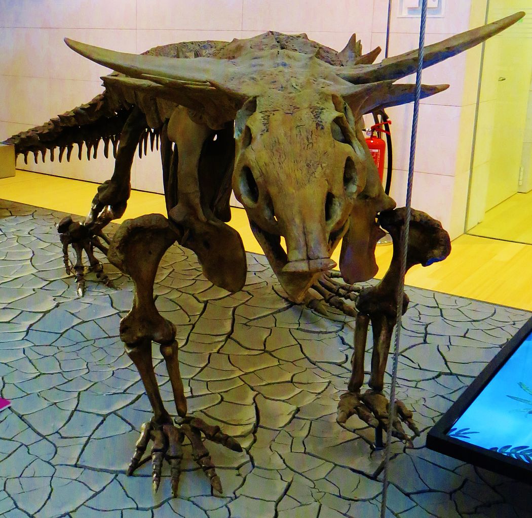 Desmatosuchus