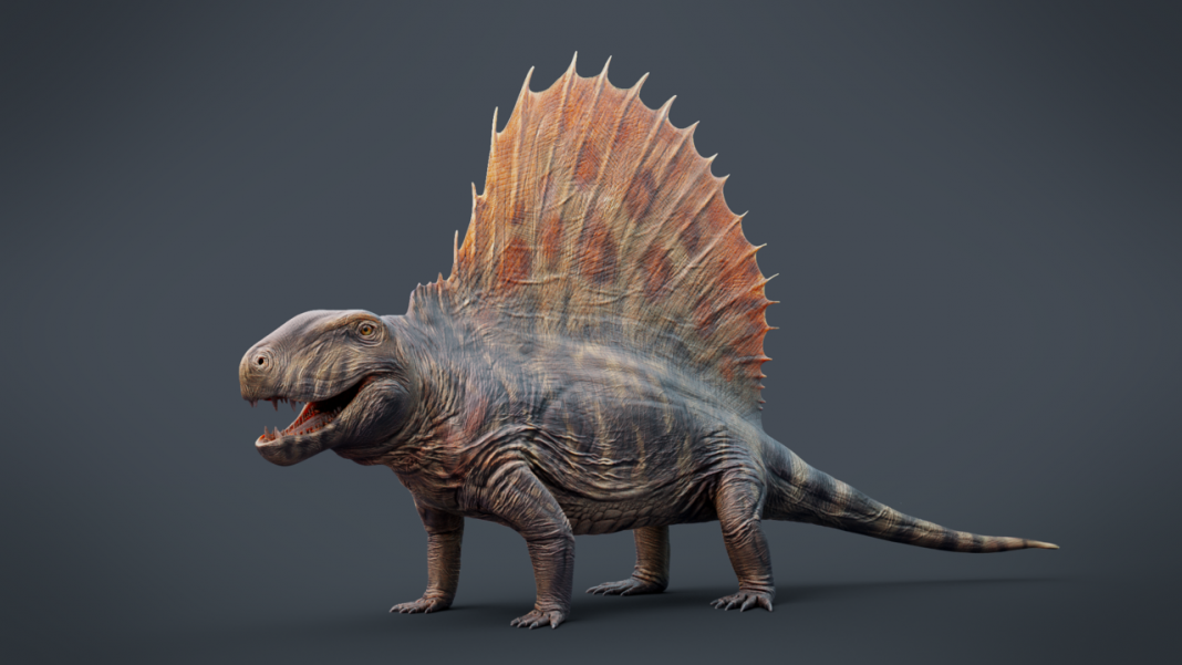 Pelicozaurul Dimetrodon, un animal preistoric cu creastă dorsală