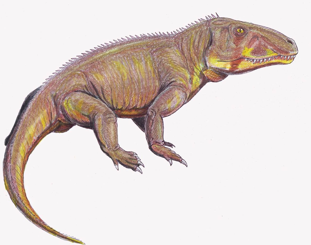 Reptila Shansisuchus, descoperită în provincia Shansi din China