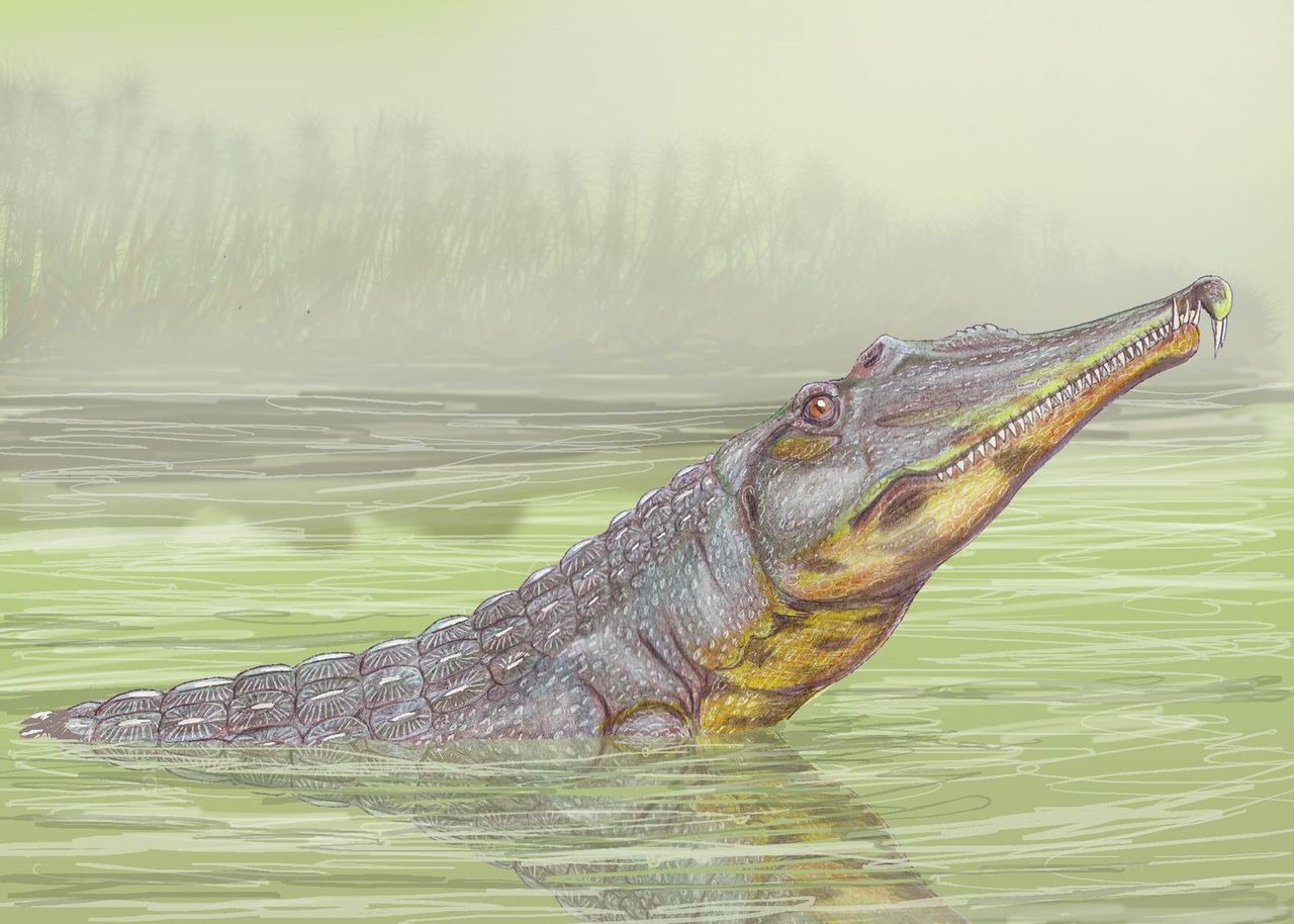 Rutiodon - o rudă a crocodililor de acum 220 milioane de ani, din Triasicul superior