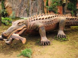 Sarcosuchus, un crocodil gigant din Nigeria