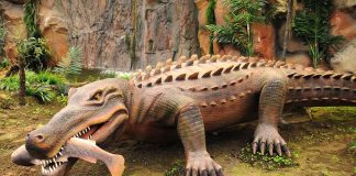 Sarcosuchus, un crocodil gigant din Nigeria