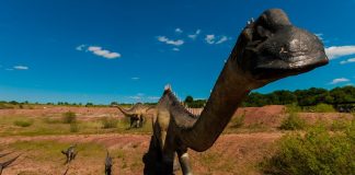 Tanystropheus - o reptilă preistorică cu o construcție disproporționată a corpului