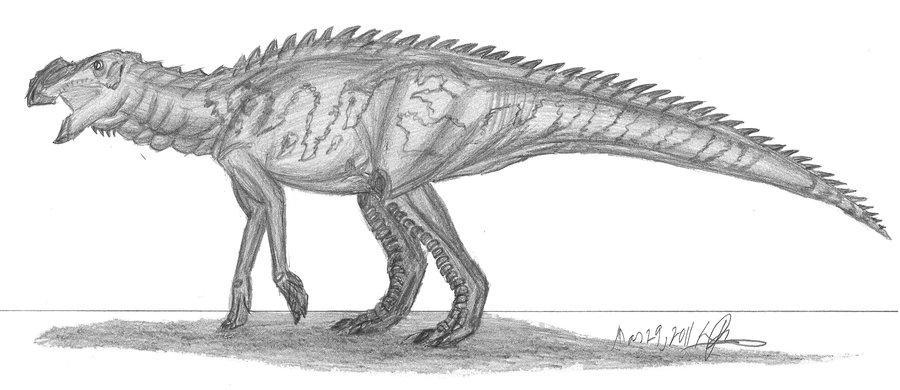 Aralosaurus, Foto: blogevolved.blogspot.com