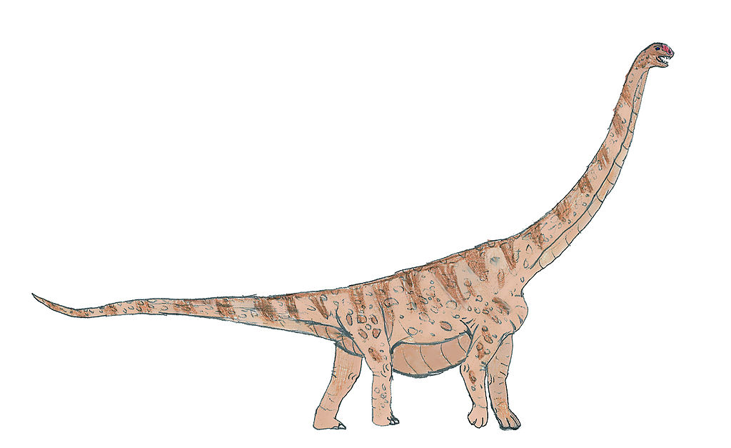 Argentinosaurus