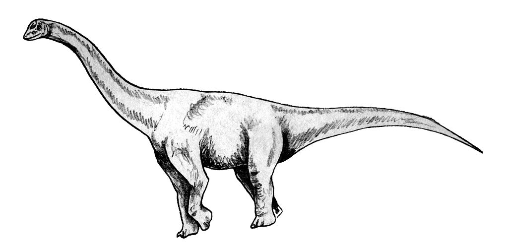 Barapasaurus