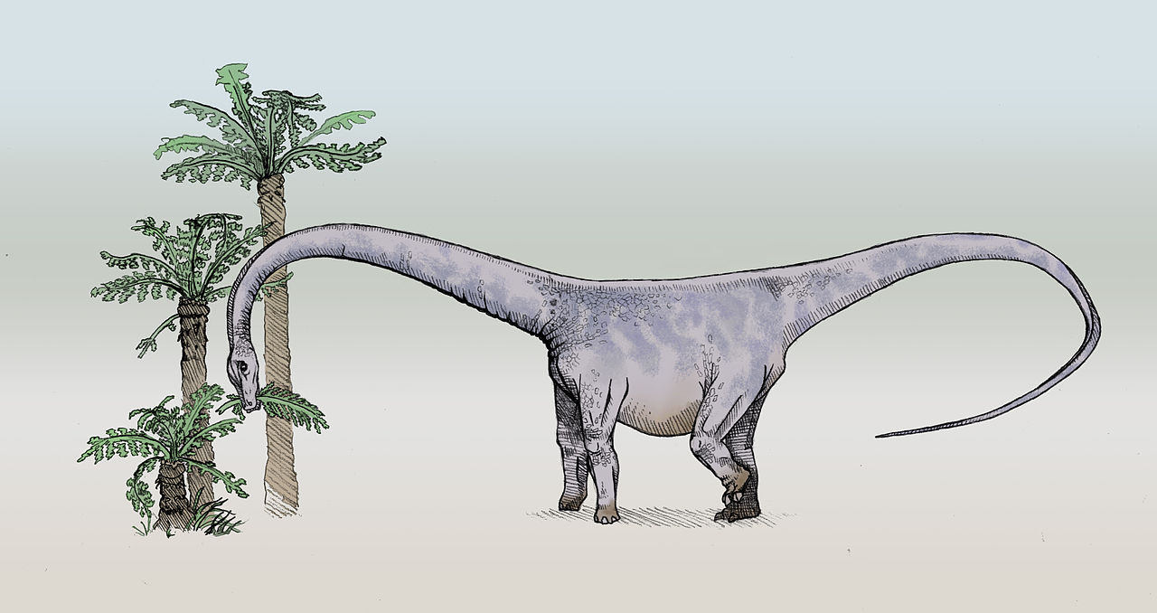 Barosaurus