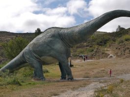 Descoperă modul de viață și caracteristicile Sauropodelor, a dinozaurilor giganți erbivori din Cretacic!