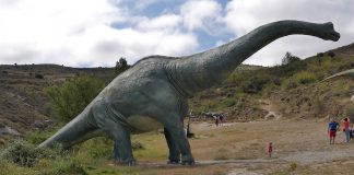 Descoperă modul de viață și caracteristicile Sauropodelor, a dinozaurilor giganți erbivori din Cretacic!
