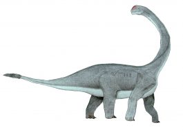 Dinozaurul Abrosaurus, o “șopârlă delicată”, mică pentru un sauropod