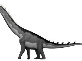 Dinozaurul Alamosaurus, un sauropod uriaș foarte răspândit în Cretacicul Americii de Nord