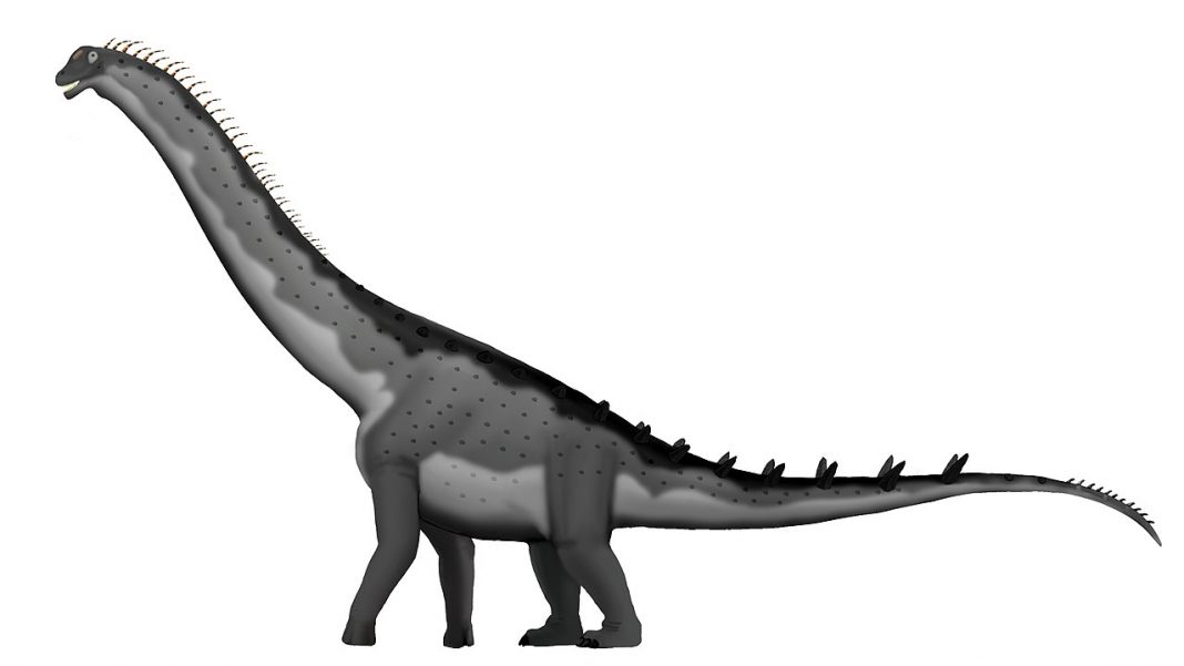 Dinozaurul Alamosaurus, un sauropod uriaș foarte răspândit în Cretacicul Americii de Nord