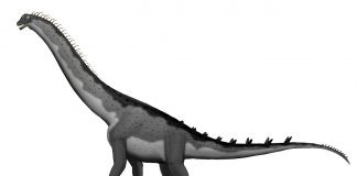 Dinozaurul Alamosaurus, un sauropod uriaș foarte răspândit în Cretacicul Americii de Nord