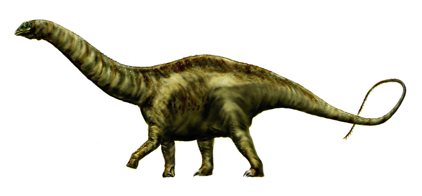 Dinozaurul Apatosaurus